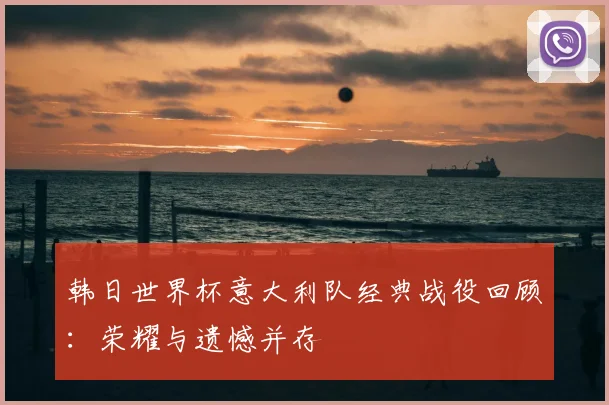 韩日世界杯意大利队经典战役回顾：荣耀与遗憾并存